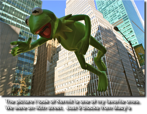 kermit2